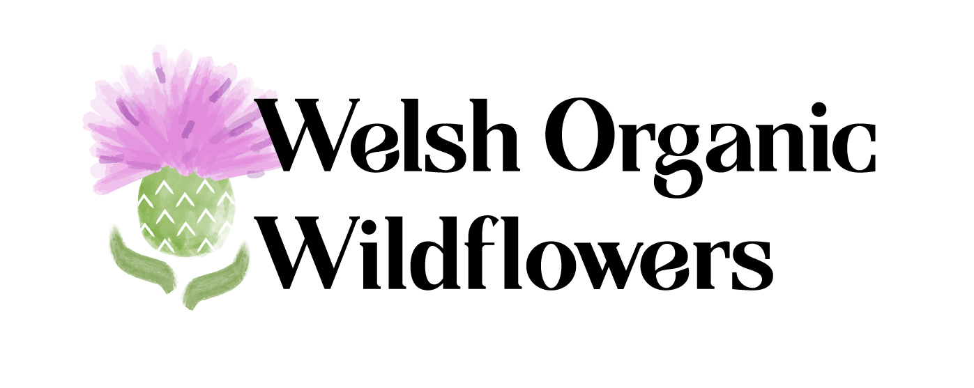 Welsh Organic Wildflowers